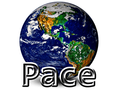 Pace  Punches